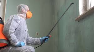 Best Mold Odor Removal Services  in East Canton, OH